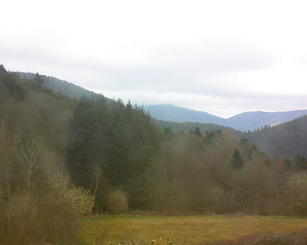 Le petit ballon vu depuis le Domaine Langmatt à Murbach le 27.03.2025 à 10:15 Le petit ballon (Alsace, Vosges) le 27.03.2025 à 10:15