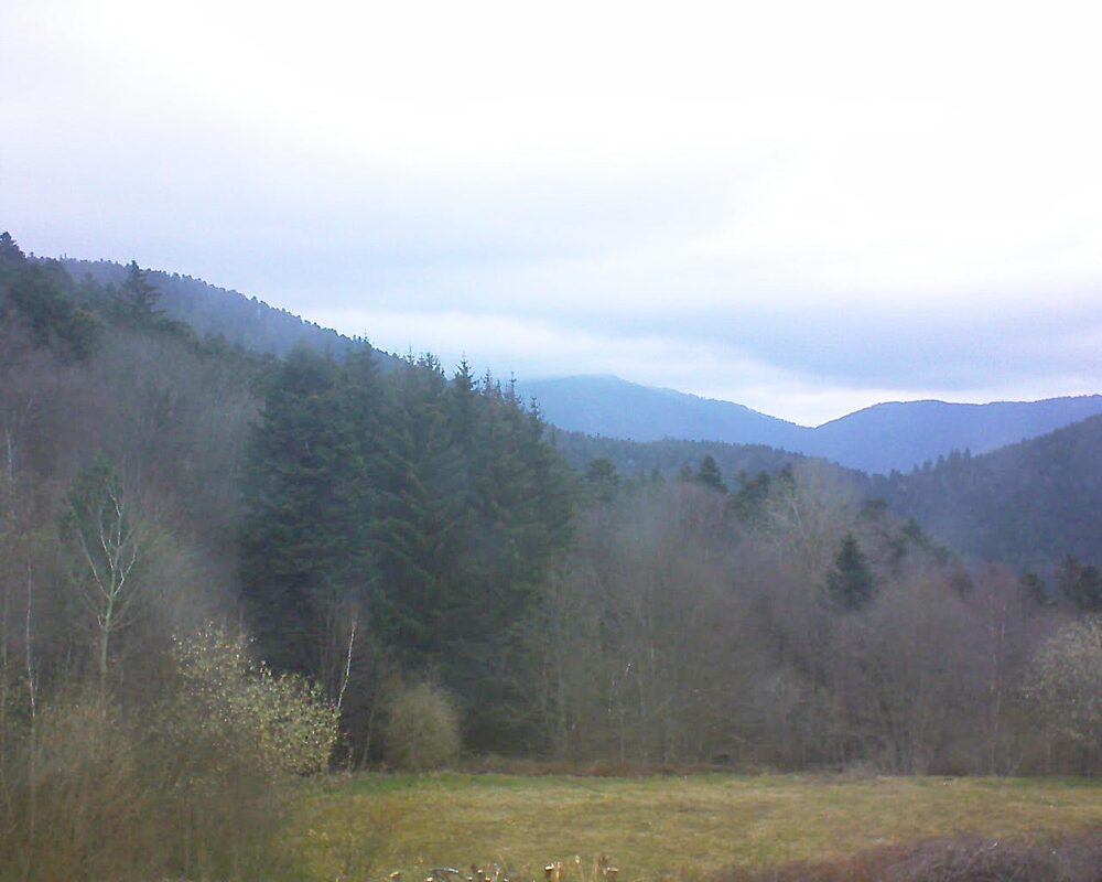 Le petit ballon vu depuis le Domaine Langmatt à Murbach le 27.03.2025 à 10:30 Le petit ballon (Alsace, Vosges) le 27.03.2025 à 10:30