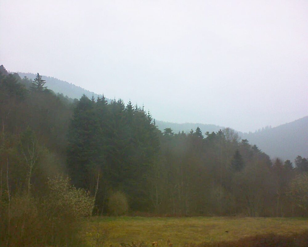 Le petit ballon (Alsace, Vosges) le 29.03.2025 à 08:15