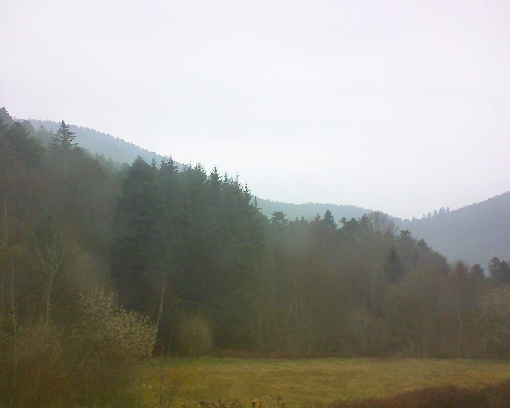 Le petit ballon (Alsace, Vosges) le 29.03.2025 à 08:30