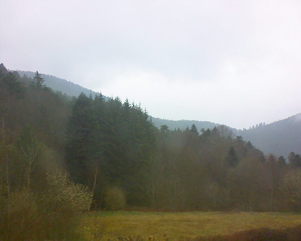 Le petit ballon vu depuis le Domaine Langmatt à Murbach le 29.03.2025 à 08:45 Le petit ballon (Alsace, Vosges) le 29.03.2025 à 08:45