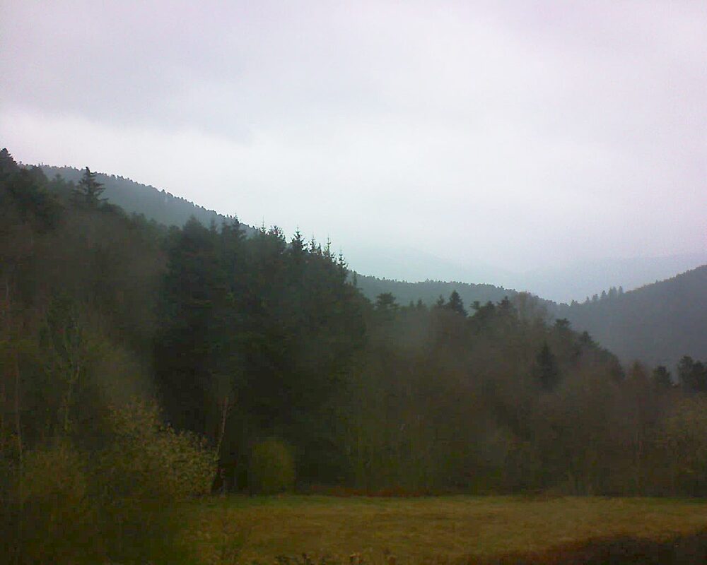 Le petit ballon (Alsace, Vosges) le 29.03.2025 à 11:30