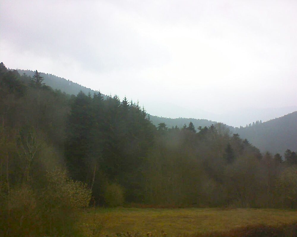 Le petit ballon (Alsace, Vosges) le 29.03.2025 à 11:45