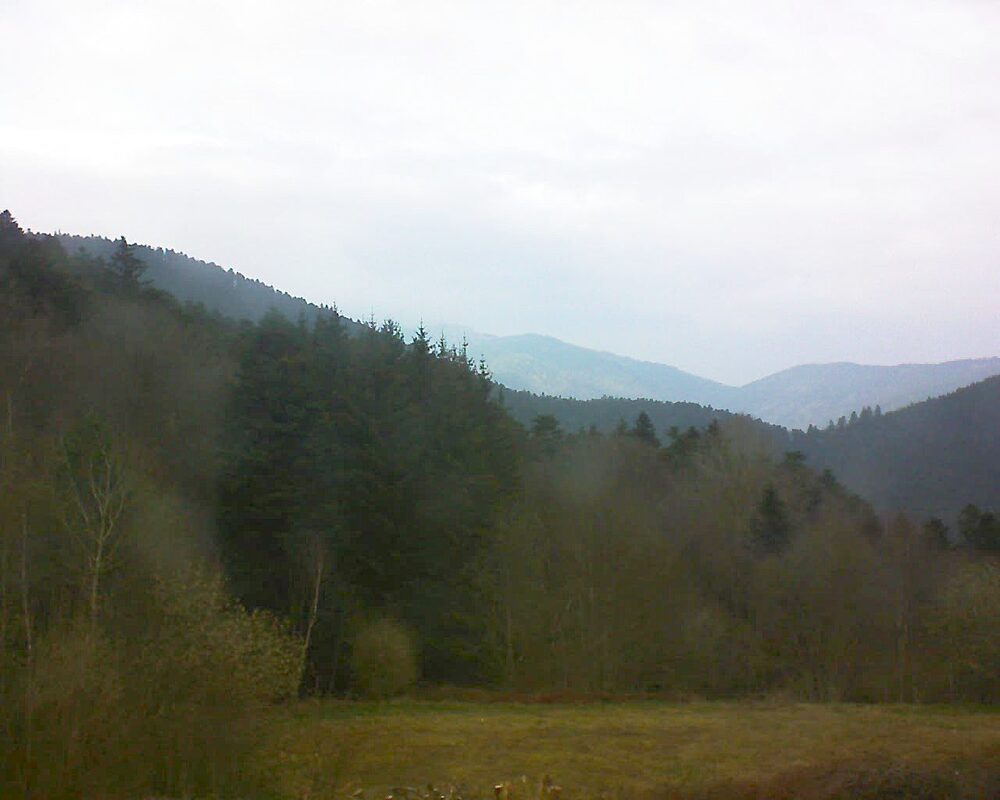 Le petit ballon (Alsace, Vosges) le 29.03.2025 à 16:45