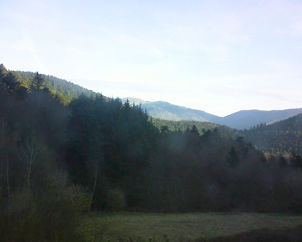 Le petit ballon (Alsace, Vosges) le 30.03.2025 à 08:30