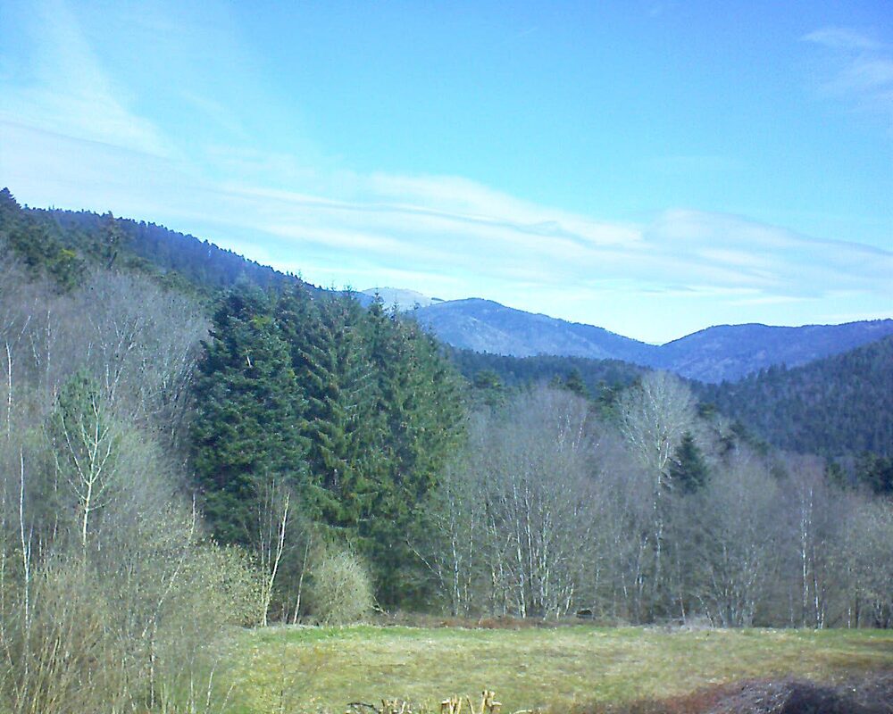 Le petit ballon (Alsace, Vosges) le 30.03.2025 à 11:15