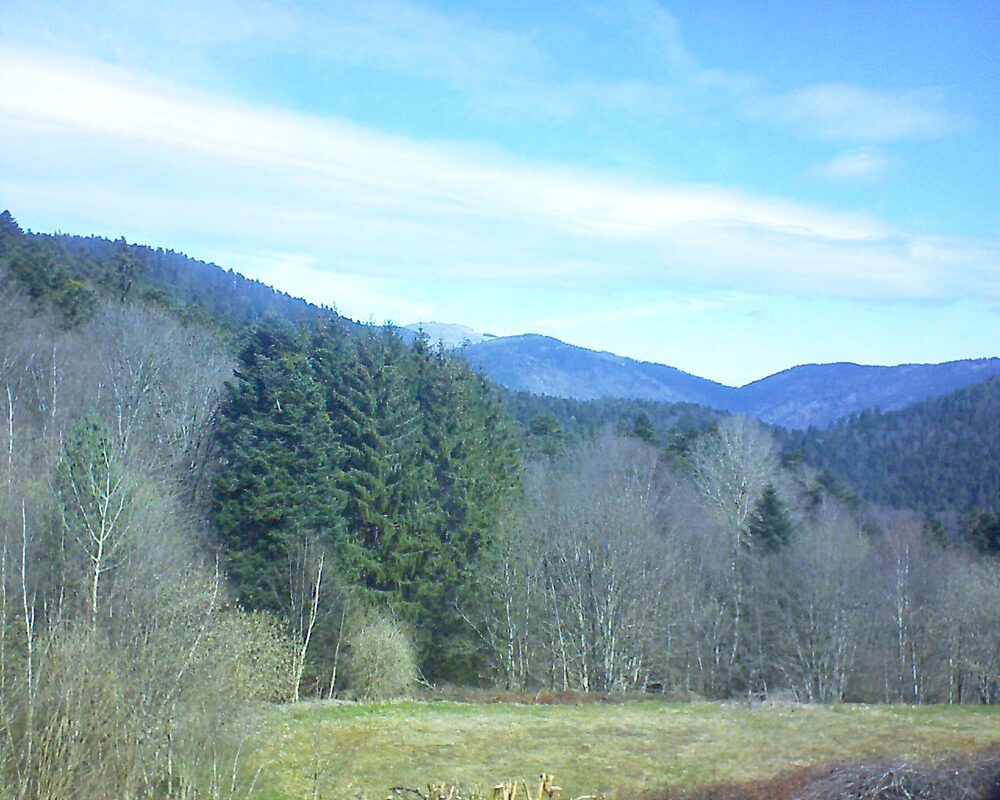 Le petit ballon vu depuis le Domaine Langmatt à Murbach le 30.03.2025 à 11:30 Le petit ballon (Alsace, Vosges) le 30.03.2025 à 11:30