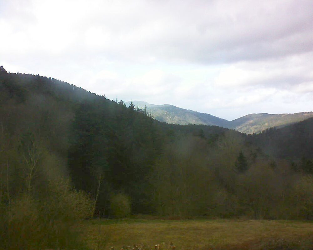 Le petit ballon (Alsace, Vosges) le 30.03.2025 à 17:15