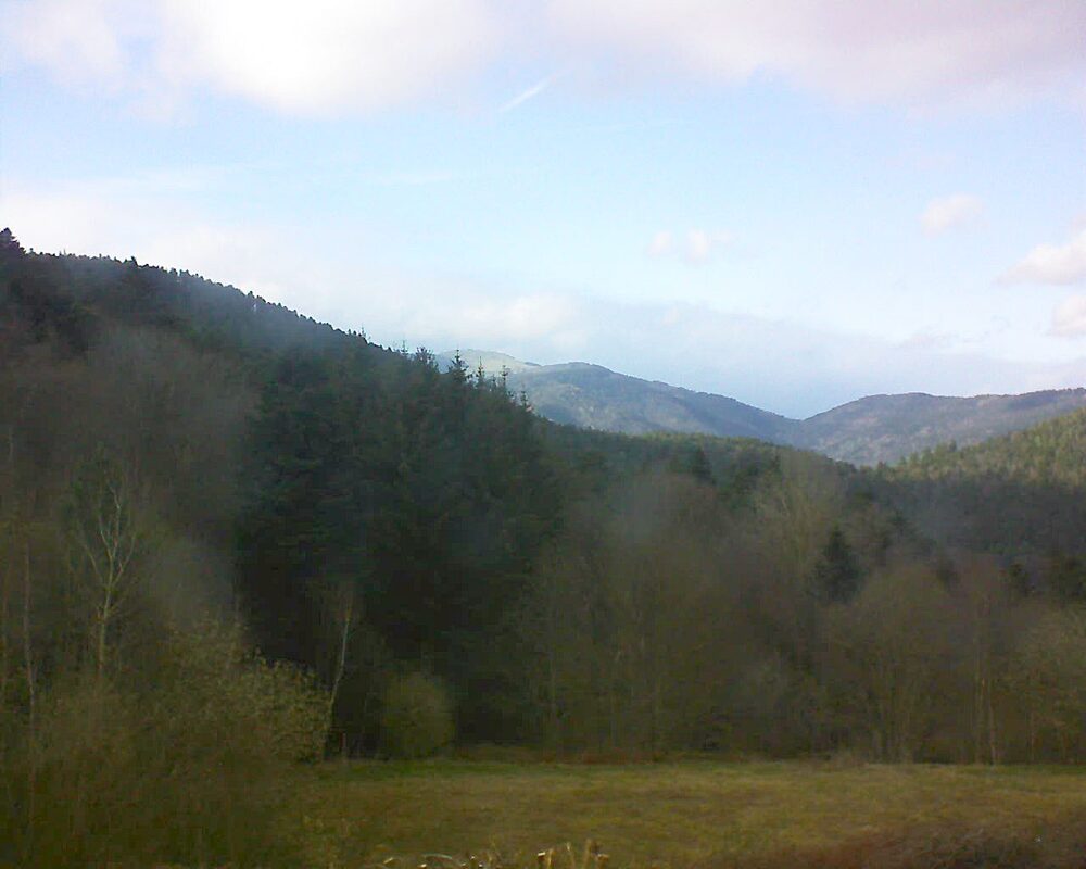 Le petit ballon (Alsace, Vosges) le 30.03.2025 à 17:45