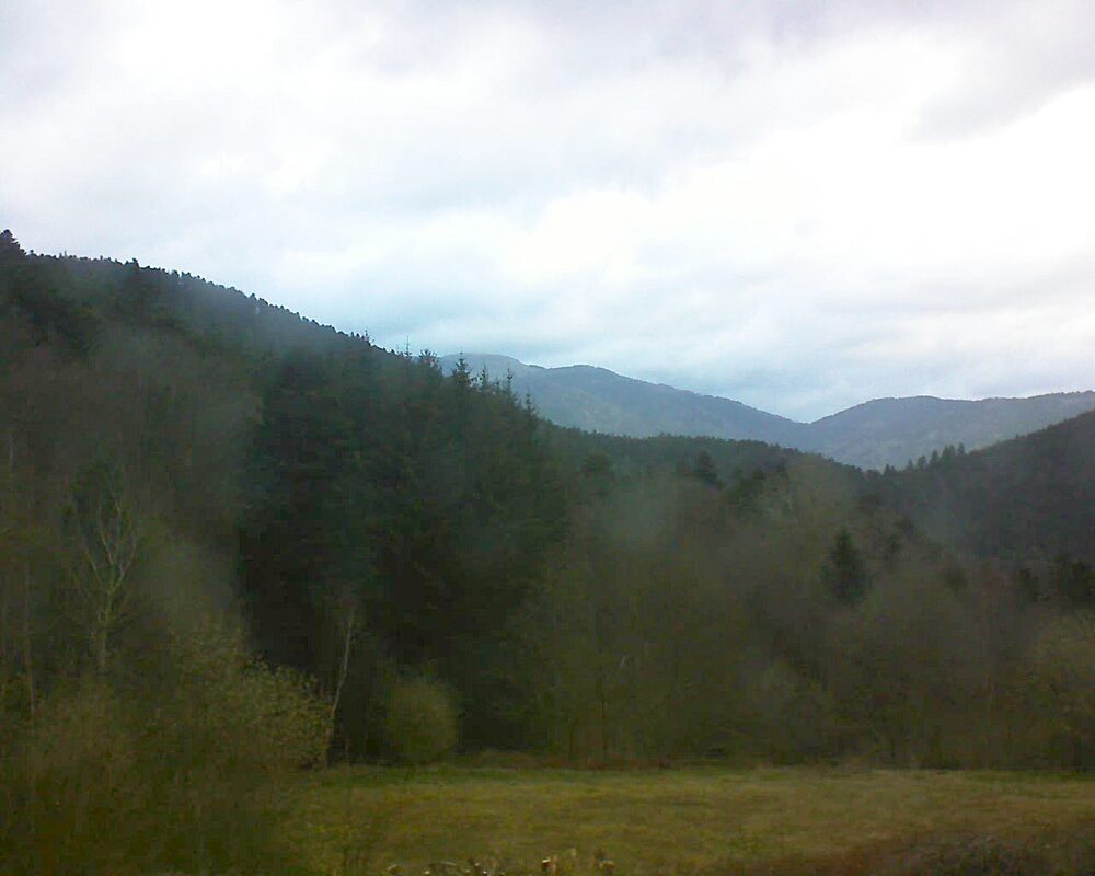 Le petit ballon (Alsace, Vosges) le 30.03.2025 à 18:45