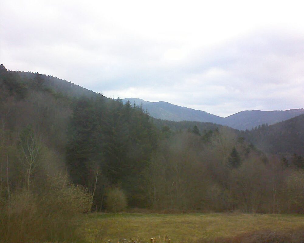 Le petit ballon (Alsace, Vosges) le 31.03.2025 à 08:15
