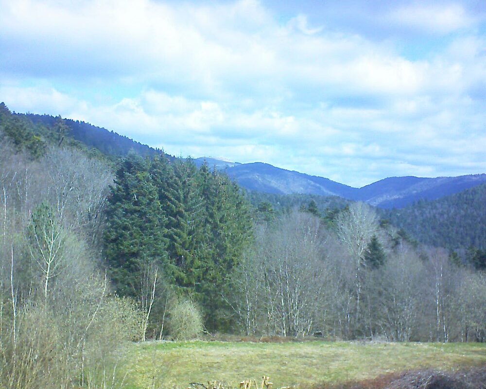 Le petit ballon (Alsace, Vosges) le 31.03.2025 à 11:15