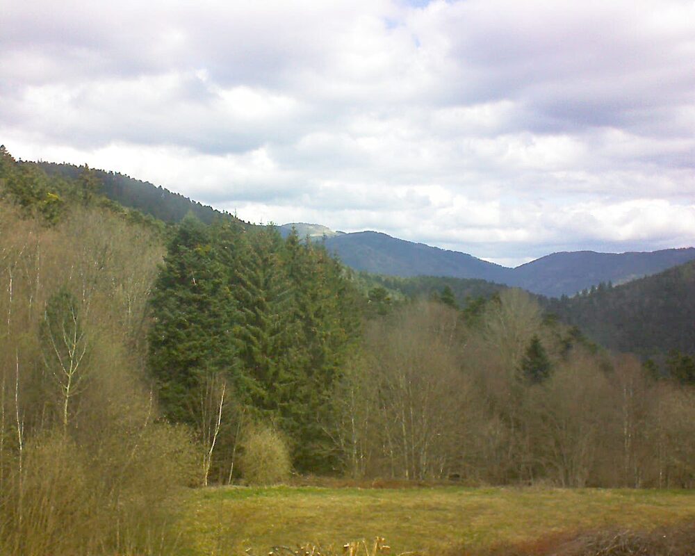 Le petit ballon (Alsace, Vosges) le 01.04.2025 à 11:45