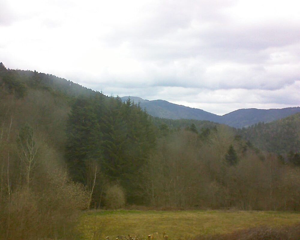 Le petit ballon (Alsace, Vosges) le 01.04.2025 à 12:45
