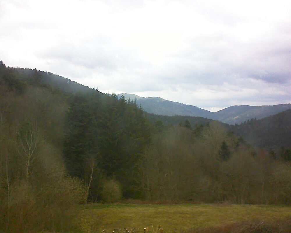 Le petit ballon (Alsace, Vosges) le 01.04.2025 à 13:45