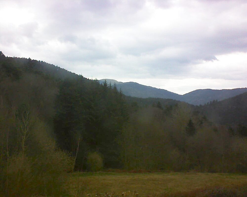 Le petit ballon (Alsace, Vosges) le 01.04.2025 à 14:45