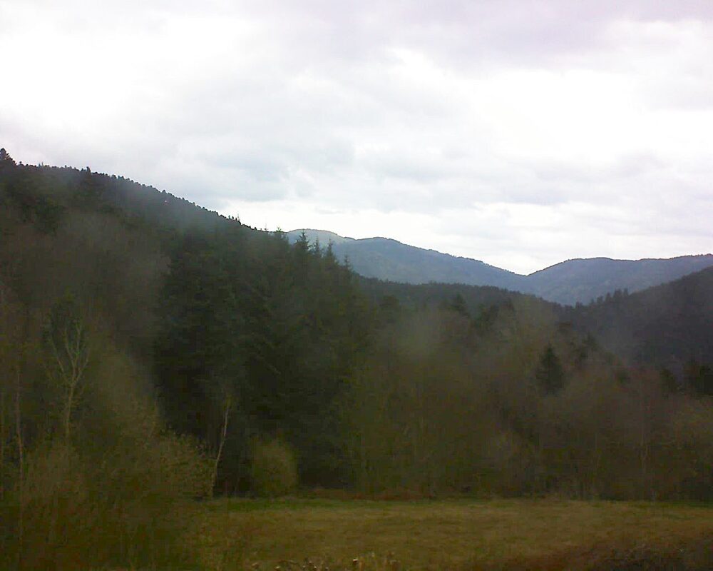 Le petit ballon vu depuis le Domaine Langmatt à Murbach le 01.04.2025 à 15:45 Le petit ballon (Alsace, Vosges) le 01.04.2025 à 15:45