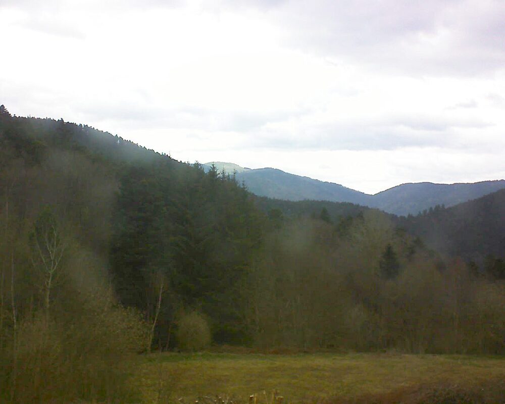 Le petit ballon (Alsace, Vosges) le 01.04.2025 à 16:45