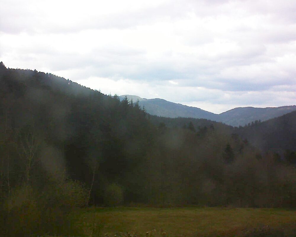 Le petit ballon (Alsace, Vosges) le 01.04.2025 à 17:30