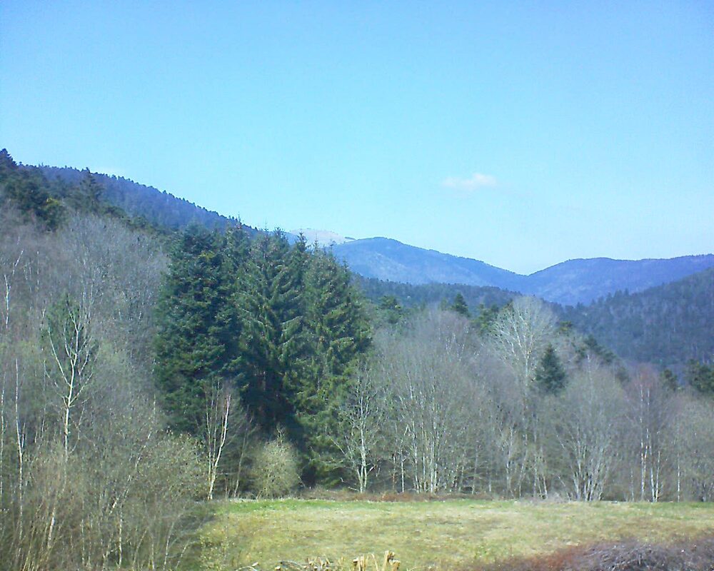 Le petit ballon (Alsace, Vosges) le 02.04.2025 à 14:30