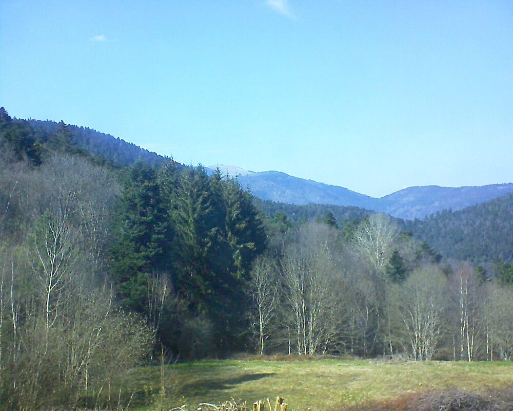 Le petit ballon (Alsace, Vosges) le 02.04.2025 à 16:15