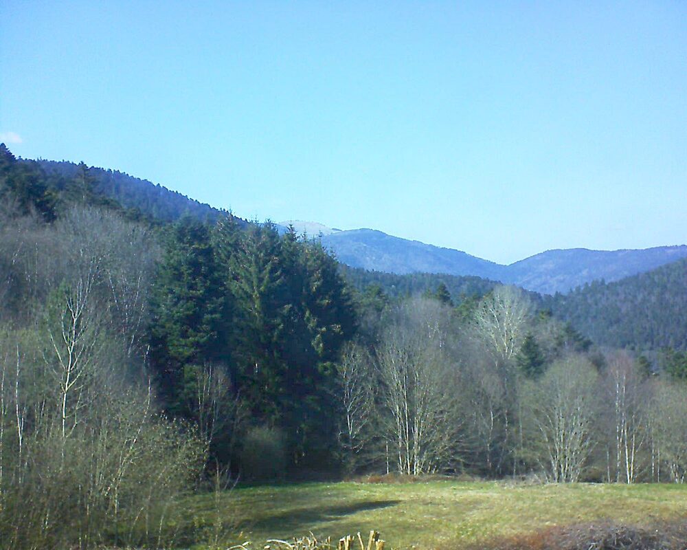 Le petit ballon vu depuis le Domaine Langmatt à Murbach le 02.04.2025 à 16:30 Le petit ballon (Alsace, Vosges) le 02.04.2025 à 16:30