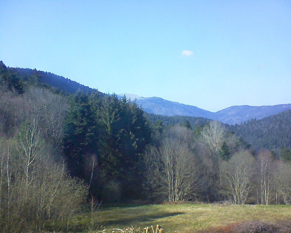 Le petit ballon (Alsace, Vosges) le 02.04.2025 à 16:45