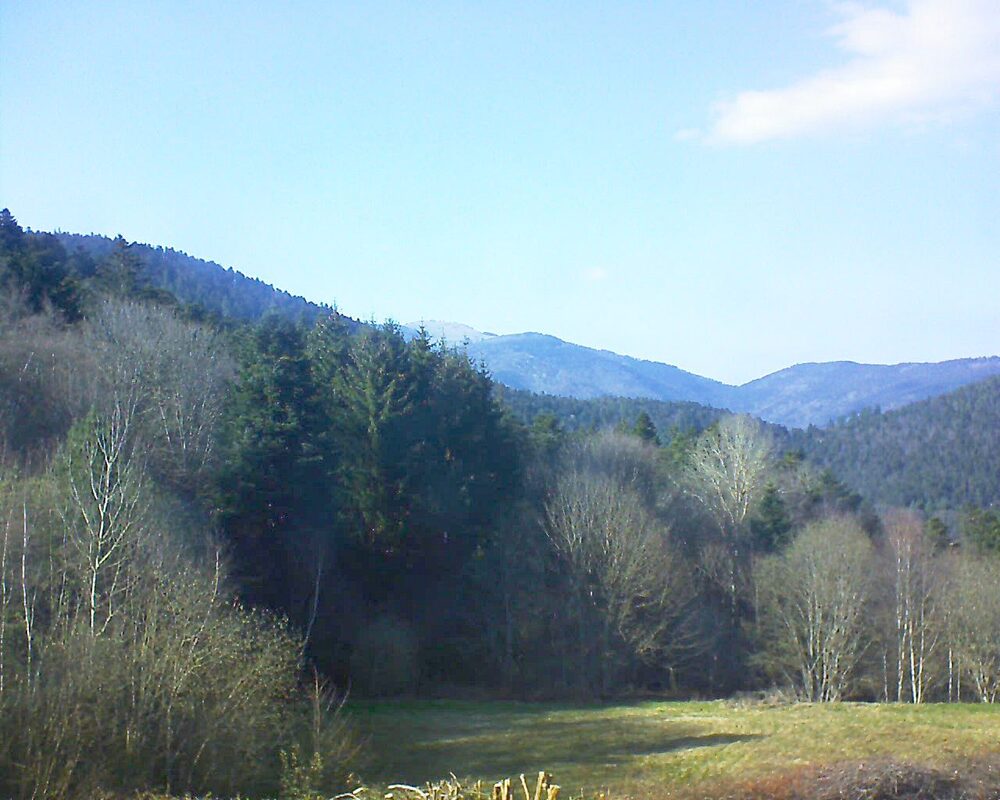 Le petit ballon (Alsace, Vosges) le 02.04.2025 à 17:15