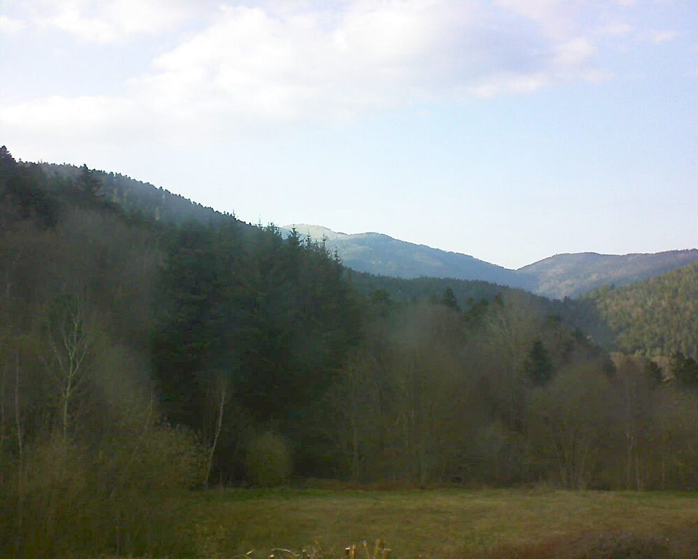 Le petit ballon (Alsace, Vosges) le 02.04.2025 à 18:30