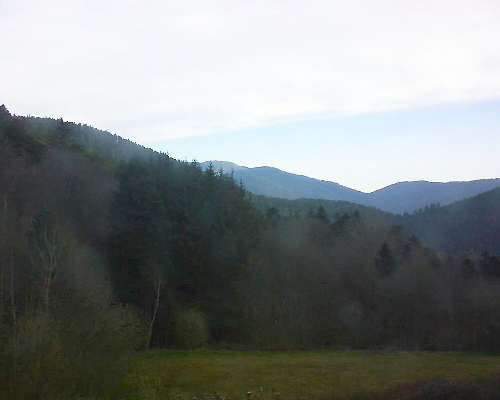 Le petit ballon (Alsace, Vosges) le 03.04.2025 à 08:15