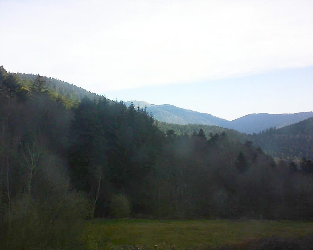 Le petit ballon (Alsace, Vosges) le 03.04.2025 à 08:30