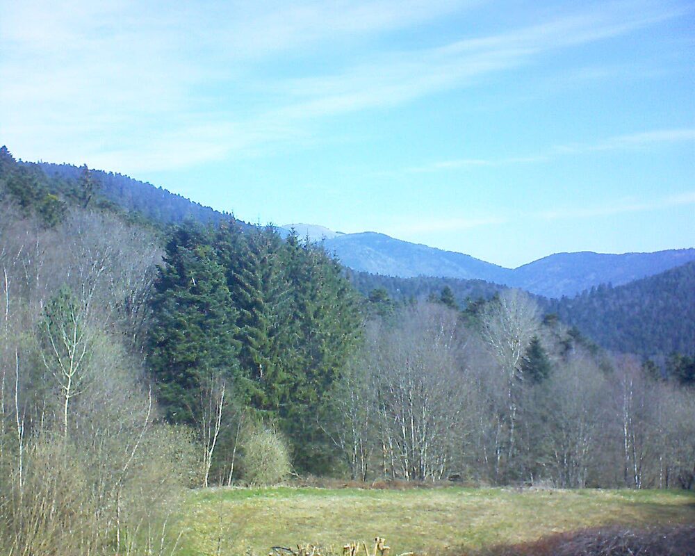 Le petit ballon (Alsace, Vosges) le 03.04.2025 à 11:00