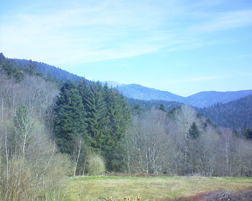 Le petit ballon (Alsace, Vosges) le 03.04.2025 à 11:15