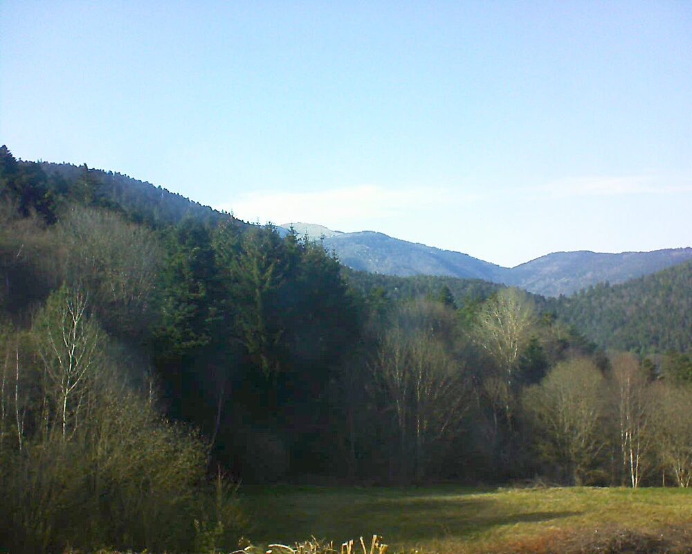 Le petit ballon (Alsace, Vosges) le 03.04.2025 à 17:30