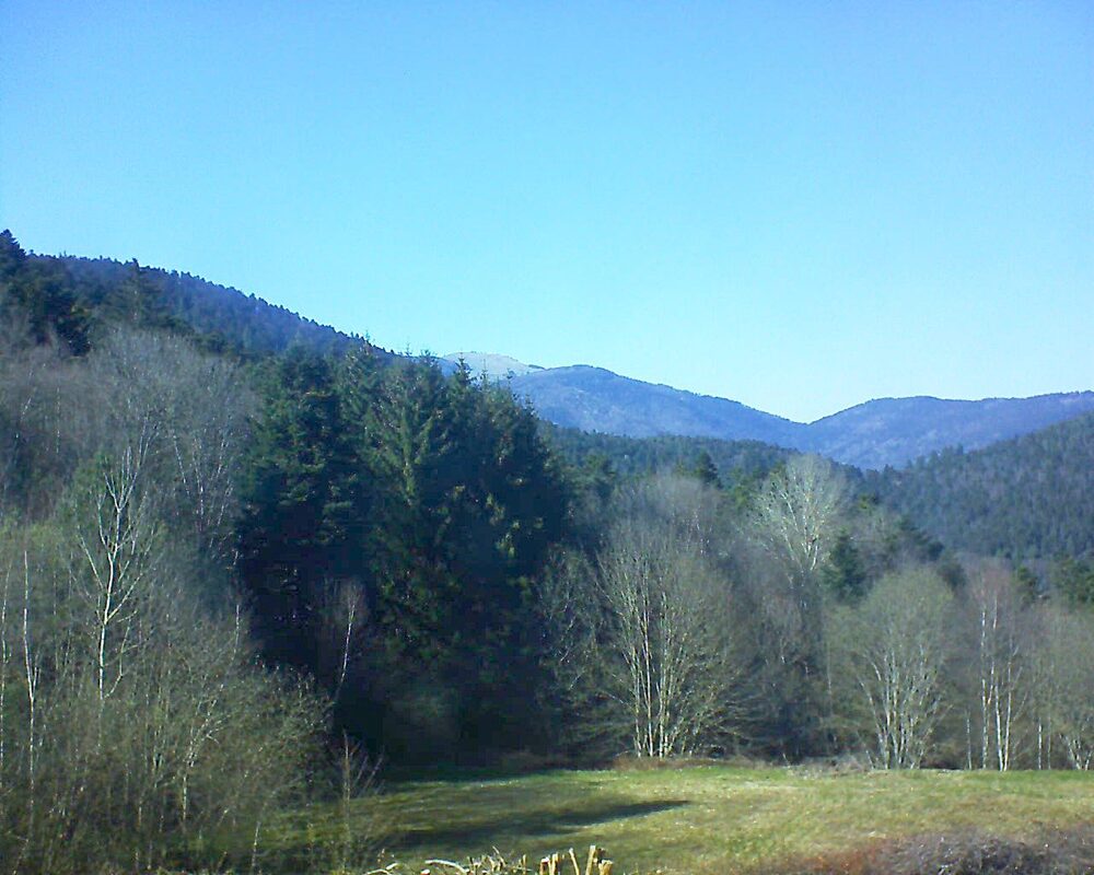 Le petit ballon (Alsace, Vosges) le 04.04.2025 à 16:45