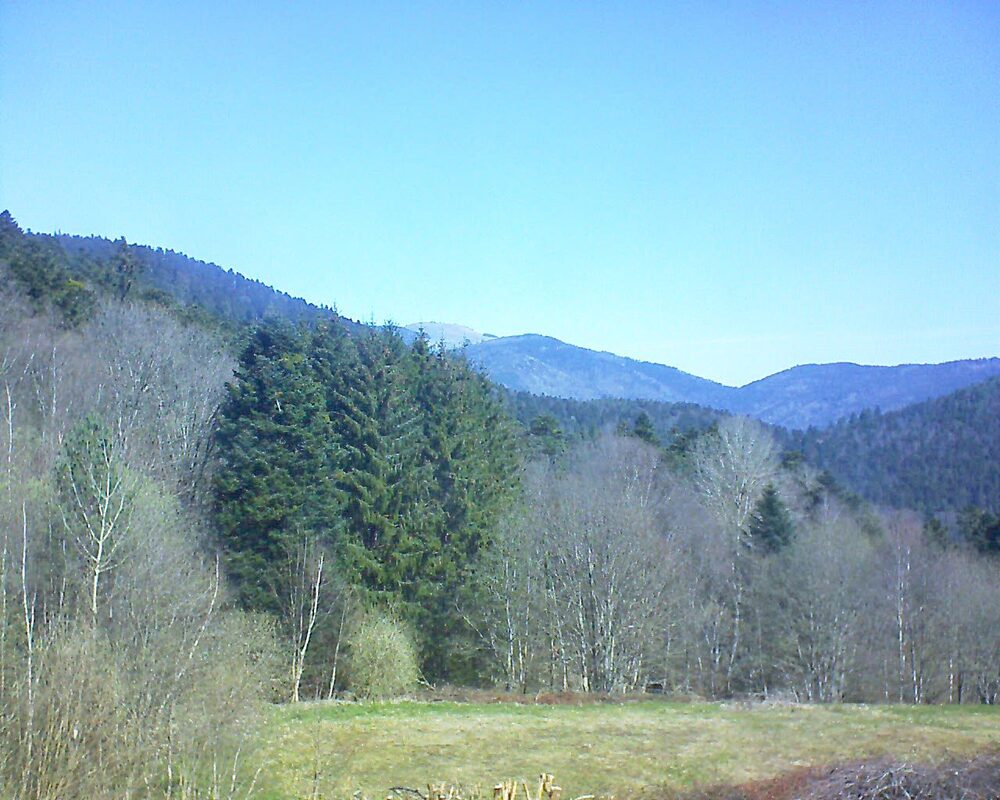 Le petit ballon (Alsace, Vosges) le 05.04.2025 à 11:30