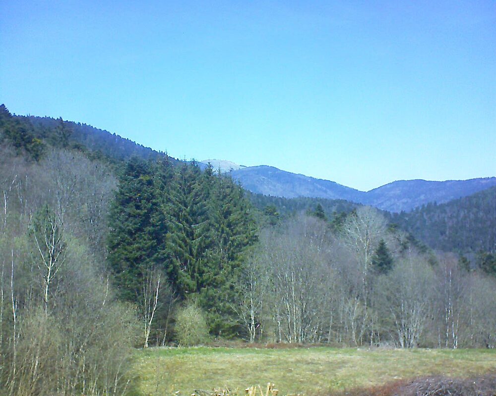 Le petit ballon vu depuis le Domaine Langmatt à Murbach le 05.04.2025 à 13:45 Le petit ballon (Alsace, Vosges) le 05.04.2025 à 13:45
