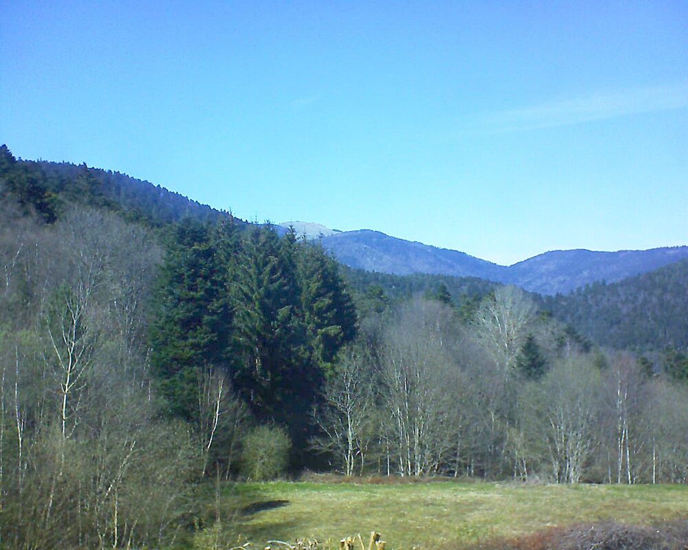 Le petit ballon (Alsace, Vosges) le 05.04.2025 à 15:30