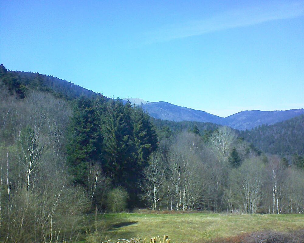 Le petit ballon (Alsace, Vosges) le 05.04.2025 à 15:45