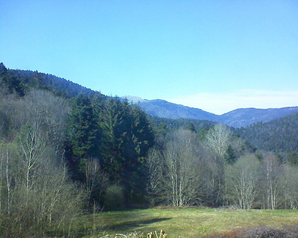 Le petit ballon vu depuis le Domaine Langmatt à Murbach le 05.04.2025 à 16:30 Le petit ballon (Alsace, Vosges) le 05.04.2025 à 16:30