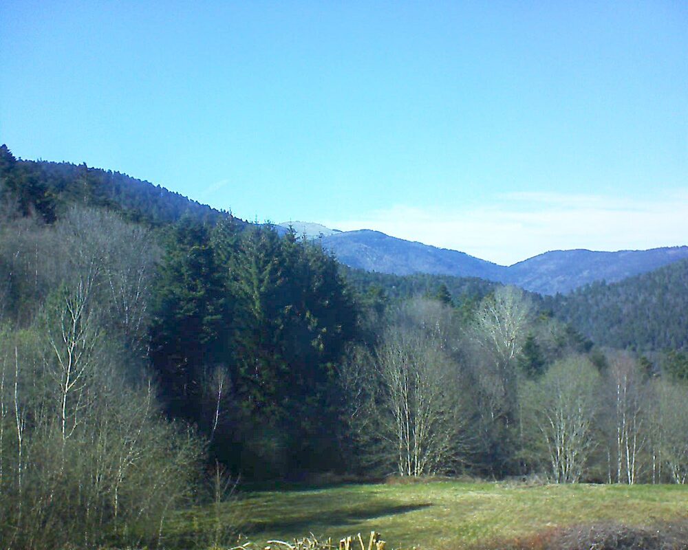 Le petit ballon vu depuis le Domaine Langmatt à Murbach le 05.04.2025 à 16:45 Le petit ballon (Alsace, Vosges) le 05.04.2025 à 16:45
