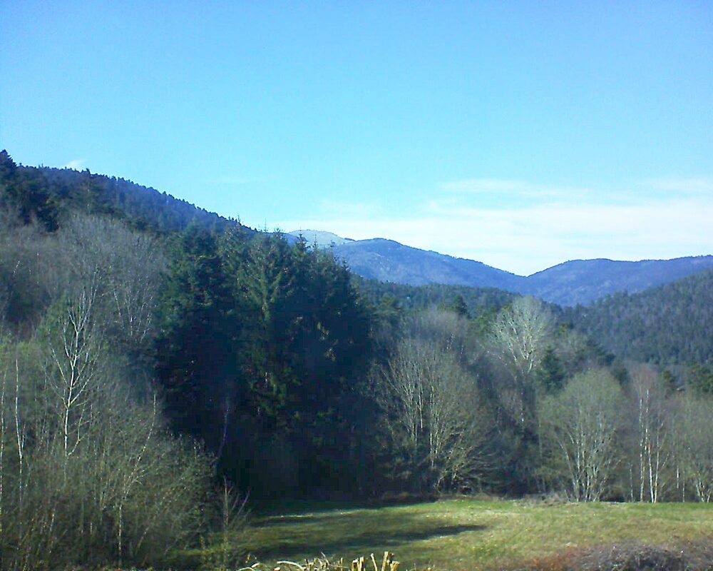Le petit ballon (Alsace, Vosges) le 05.04.2025 à 17:00