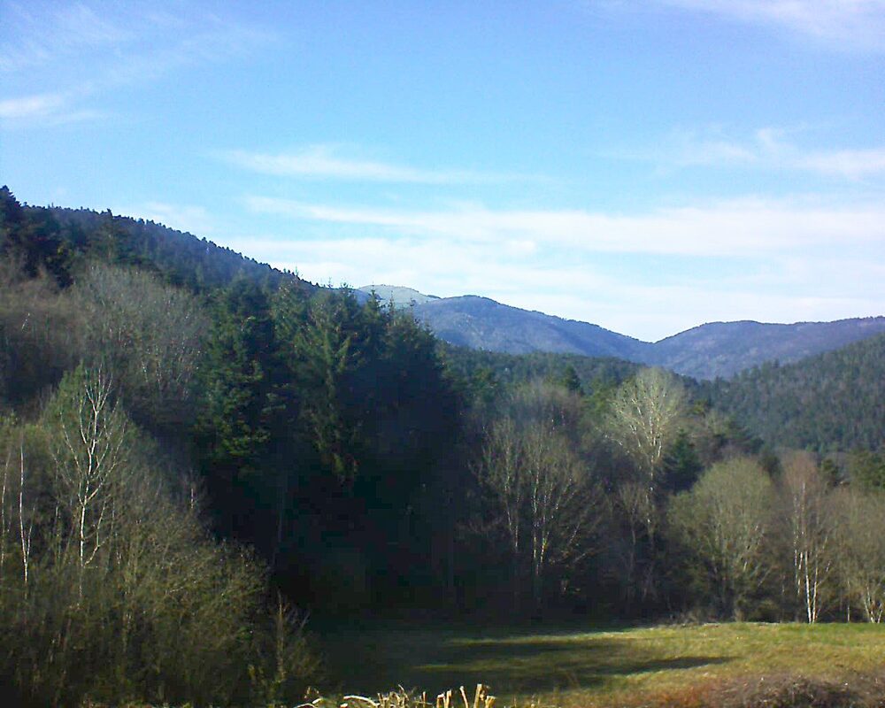 Le petit ballon (Alsace, Vosges) le 05.04.2025 à 17:30