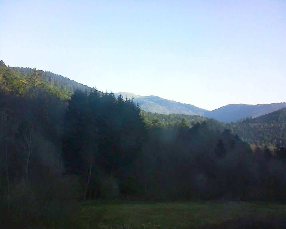 Le petit ballon vu depuis le Domaine Langmatt à Murbach le 06.04.2025 à 08:45 Le petit ballon (Alsace, Vosges) le 06.04.2025 à 08:45
