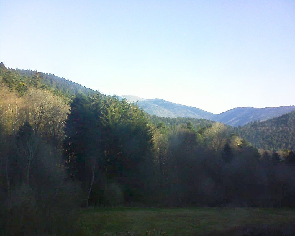 Le petit ballon (Alsace, Vosges) le 06.04.2025 à 09:15