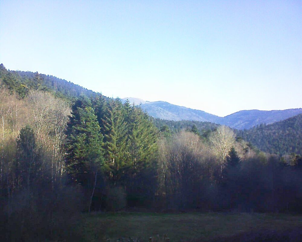 Le petit ballon (Alsace, Vosges) le 06.04.2025 à 09:30