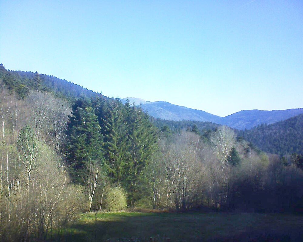 Le petit ballon vu depuis le Domaine Langmatt à Murbach le 06.04.2025 à 09:45 Le petit ballon (Alsace, Vosges) le 06.04.2025 à 09:45