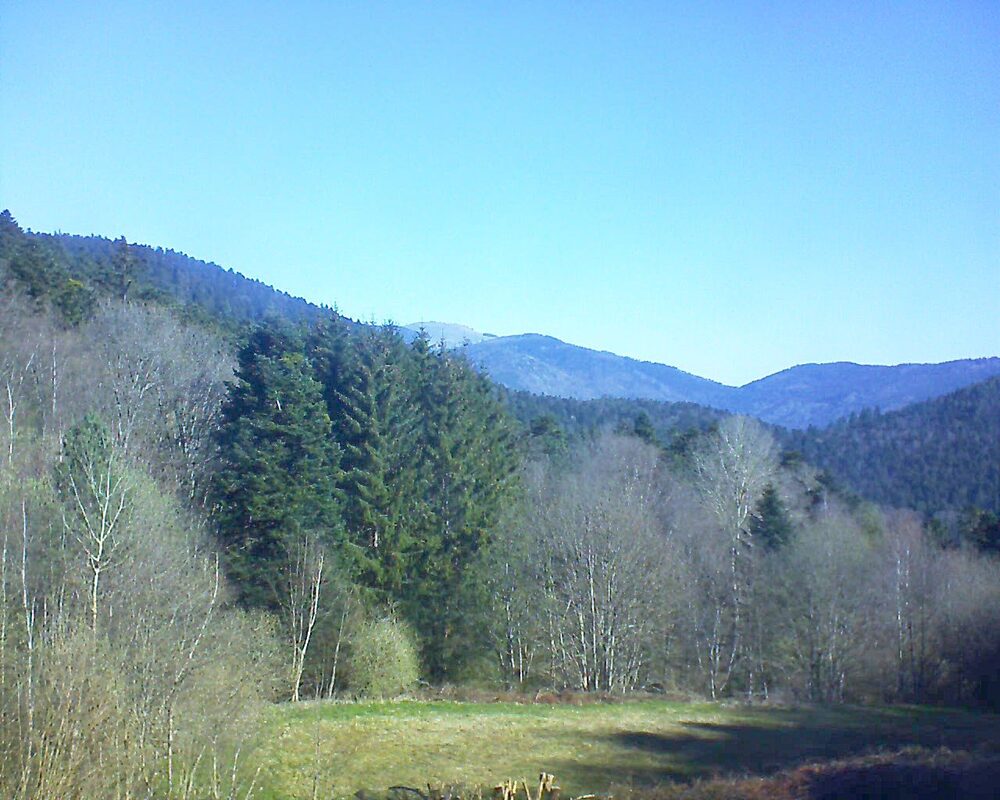 Le petit ballon (Alsace, Vosges) le 06.04.2025 à 10:15
