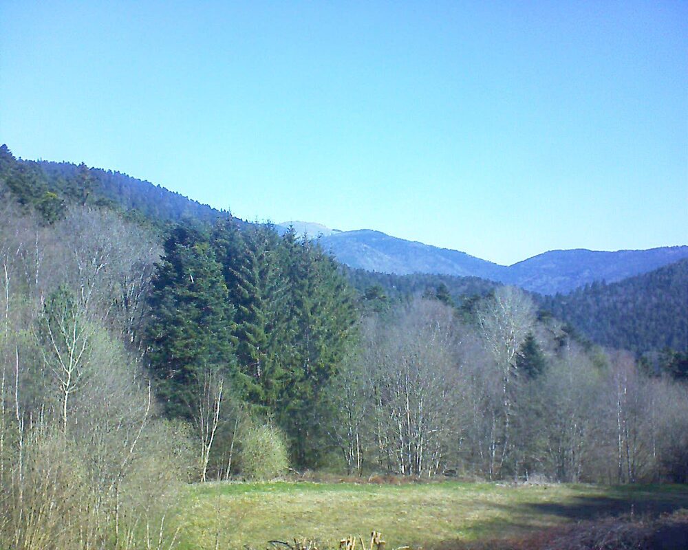 Le petit ballon (Alsace, Vosges) le 06.04.2025 à 10:30