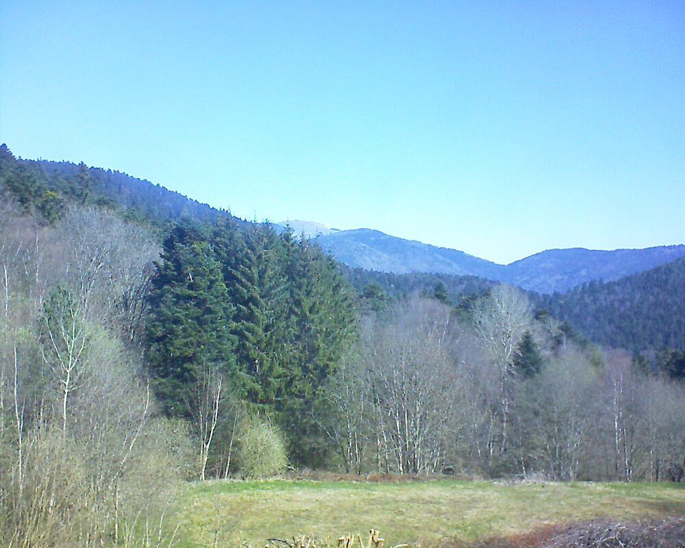 Le petit ballon (Alsace, Vosges) le 06.04.2025 à 11:00